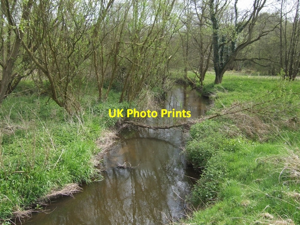 Photo 6"x4" River Tern upstream of Tunstall Hall Market Drayton c2008
