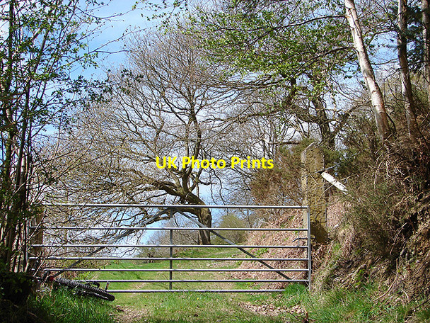 Photo 6"x4" Farm gate at Nant y Glyn Geseilfa c2008