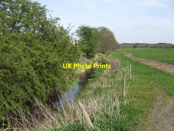 Photo 6"x4" River Tern south of Blackbrook Blackbrook\/SJ7639 c2008