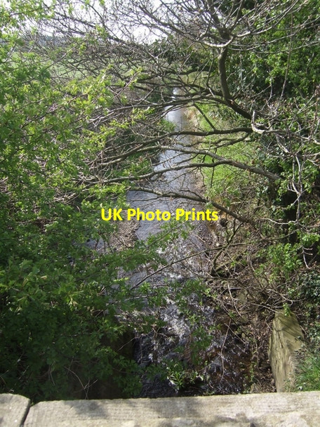 Photo 6"x4" River Tern south of Blackbrook Blackbrook\/SJ7639 c2008 P1