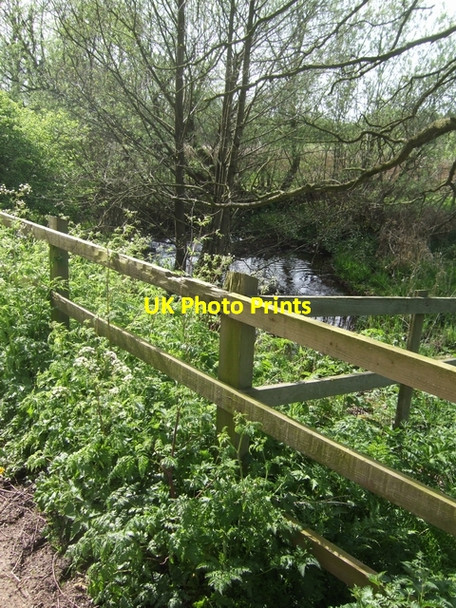 Photo 6"x4" River Tern downstream of Willoughbridge Pipe Gate c2008