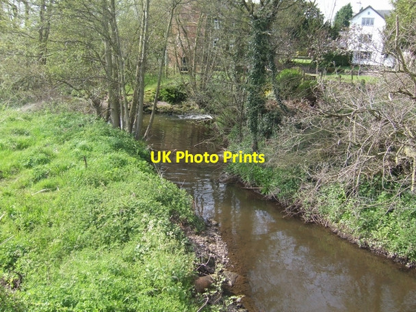 Photo 6"x4" River Tern at Bearstone Mill Napley Heath c2008