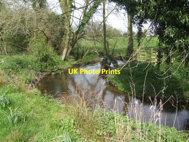 Photo 6"x4" River Tern upstream of the new Norton in Hales bridge Norton in Hales c2008