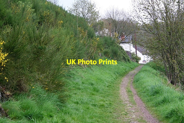 Photo 6"x4" Bridleway to the Wyche Cutting Upper Colwall c2008
