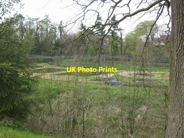 Photo 6"x4" Fish farm Market Drayton c2008