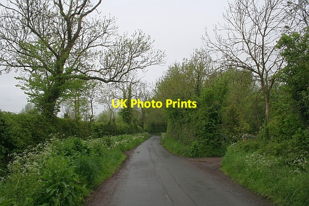 Photo 6"x4" Minor Road to Longdon Marsh Longdon\/SO8336 c2008