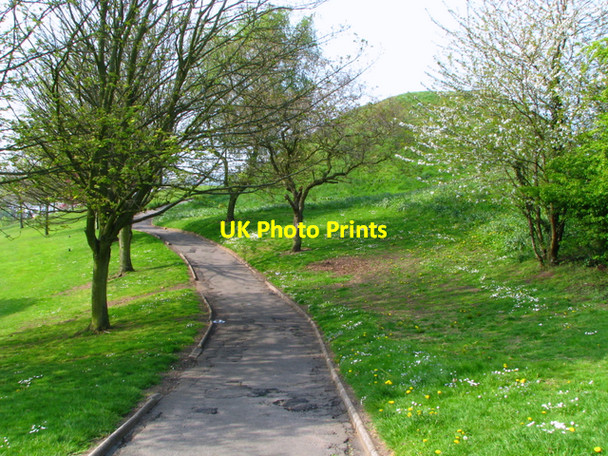 Photo 6"x4" Towards Dundonald motte Dundonald\/J4174 c2008