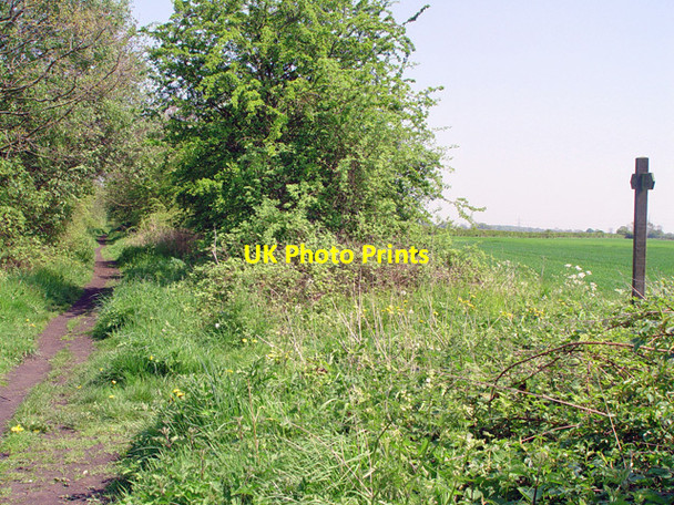 Photo 6"x4" A parting of the ways, Bubwith Breighton c2008