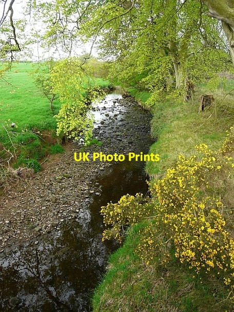 Photo 6"x4" Beck Burn Netherby\/NY3971 c2008