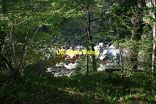 Photo 6"x4" The River Findhorn from the Sluie Walk Conicavel c2008