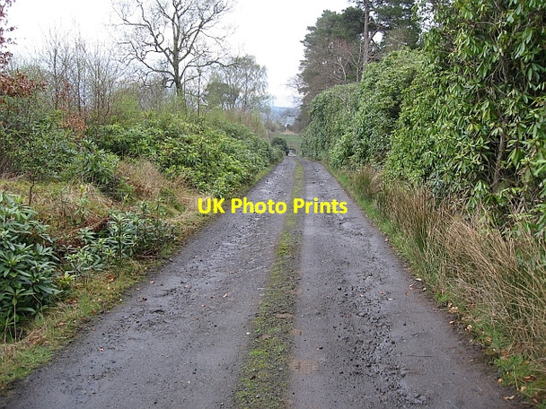 Photo 6"x4" Track above South Lodge Auchineden Fm c2008