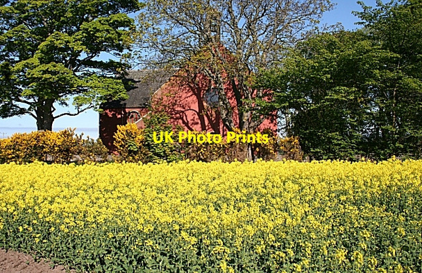 Photo 6"x4" The Red Kirk Mosstodloch c2008