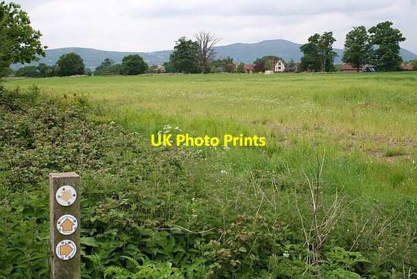 Photo 6"x4" Junction of footpaths Church End\/SO8341 c2008