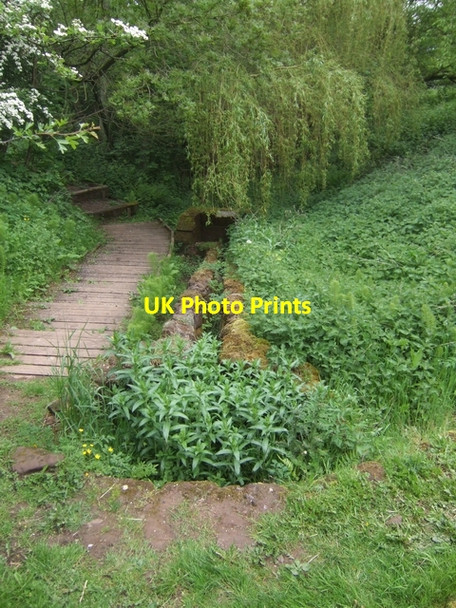 Photo 6"x4" St Kenelm's Spring (Source of the River Stour) Rumbow Cottages c2008