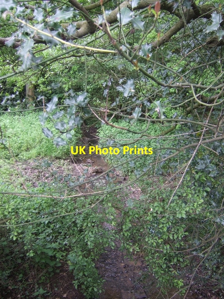 Photo 6"x4" River Stour downstream of Uffmoor Farm Halesowen c2008