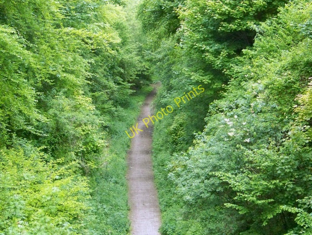 Photo 6"x4" Meon Valley Trail near Warnford Warnford c2009