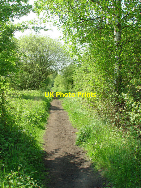 Photo 6"x4" The Bubwith Rail Trail Breighton c2008