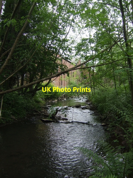 Photo 6"x4" River Stour upstream at Hayseech Halesowen c2008