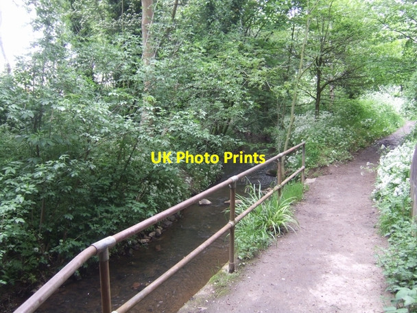 Photo 6"x4" River Stour downstream of Halesowen Bypass Halesowen c2008