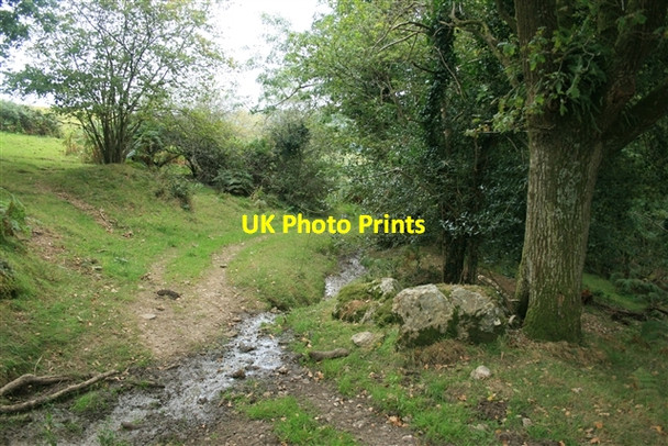 Photo 6"x4" Near the streamhead, Farway Farway c2007