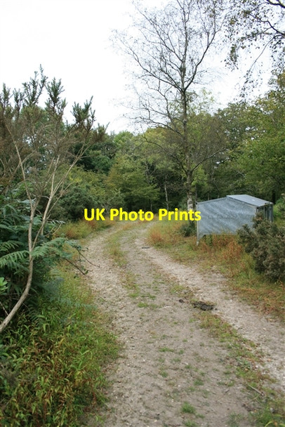 Photo 6"x4" Access land, Ball Hill Farway c2007