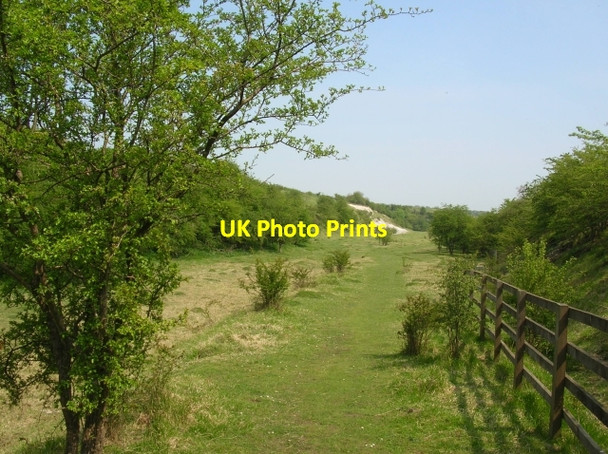 Photo 6"x4" Bank into Kiplingcotes chalk pit Goodmanham c2008
