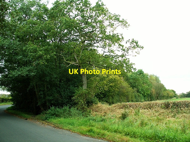 Photo 6"x4" Corner of Drybeck Wood Easton\/NY4372 c2007