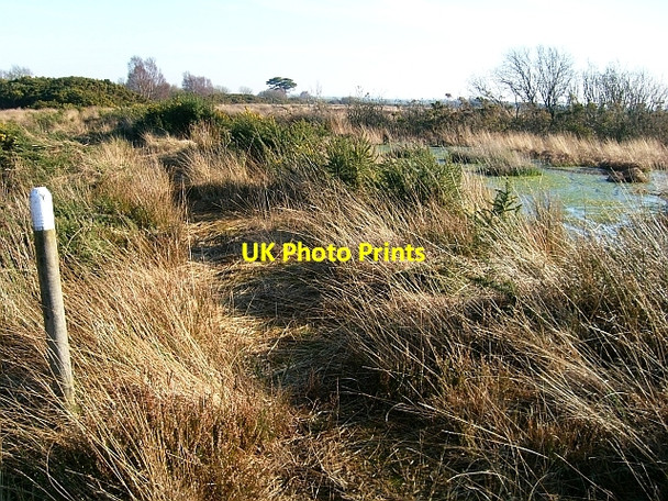 Photo 6"x4" Path around Drumburgh Moss Fingland\/NY2557 c2008