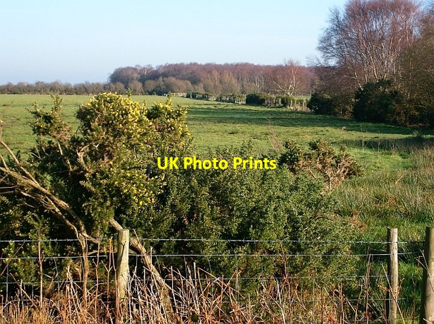 Photo 6"x4" Farmland at the edge of Drumburgh Moss Drumburgh c2008