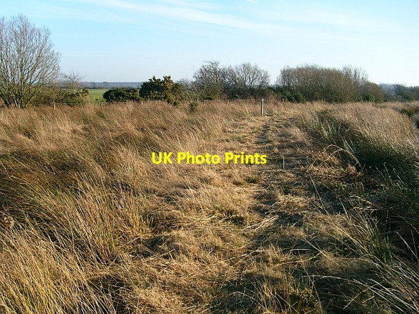 Photo 6"x4" Footpath at Drumburgh Moss Drumburgh c2008