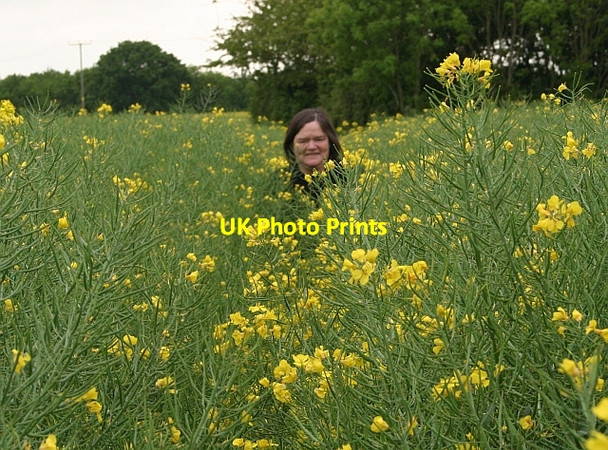 Photo 6"x4" Footpath through the rape Church End\/SO8341 c2008