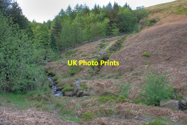 Photo 6"x4" Danby Beck Danby High Moor c2008