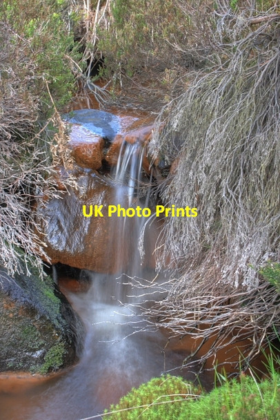 Photo 6"x4" Danby Beck Danby High Moor c2008 P1