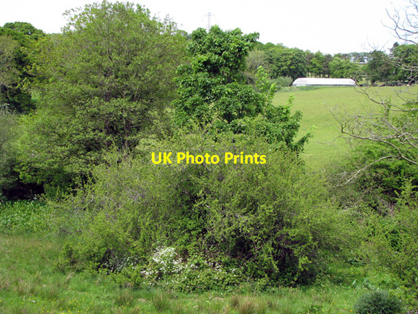 Photo 6"x4" Trees and field near Purdysburn Carryduff c2008