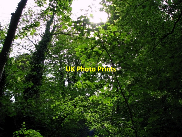 Photo 6"x4" Glenlyon, Holywood [7] Holywood\/J3979 c2008