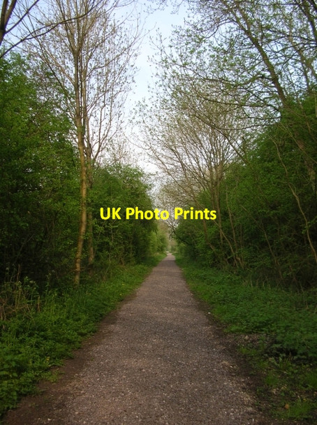 Photo 6"x4" Hudson Way approaching Market Weighton Goodmanham c2008