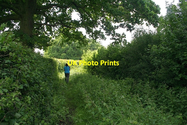Photo 6"x4" Old Track Birts Street c2008