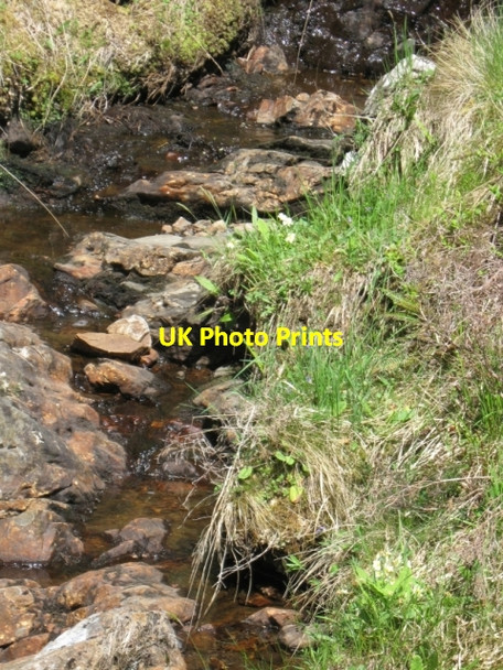 Photo 6"x4" A wee burn Benavie c2008