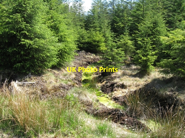 Photo 6"x4" Forestry soil showing dark peak, and mossy drainage Achaphubuil c2008