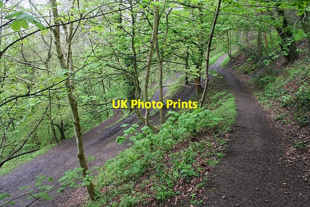 Photo 6"x4" Junction of paths Upper Wyche c2008