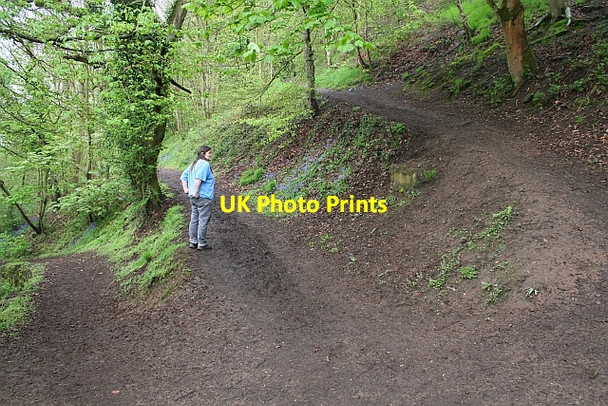 Photo 6"x4" Three footpaths Upper Wyche c2008
