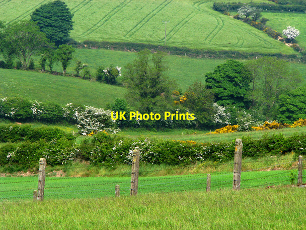 Photo 6"x4" Fields near Holywood [2] Holywood\/J3979 c2008