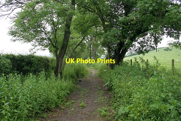 Photo 6"x4" Bridleway to Castlemorton Birtsmorton c2008