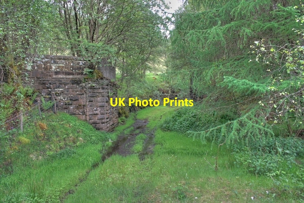 Photo 6"x4" Remains of Railway Bridge Glen Dochart c2008
