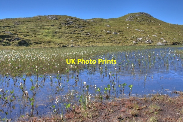 Photo 6"x4" Lochan West of Sgurr an Albanaich Bunacaimb c2008