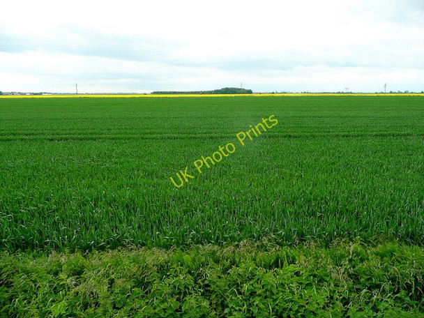 Photo 6"x4" Arable land Rawcliffe Bridge c2009