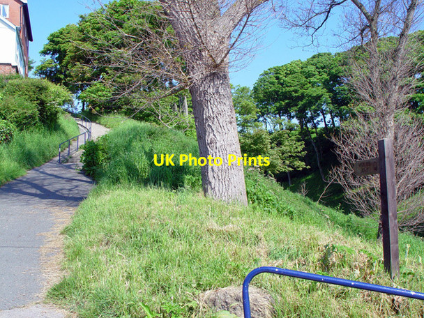 Photo 6"x4" The Yorkshire Wolds Way, Filey Filey c2008
