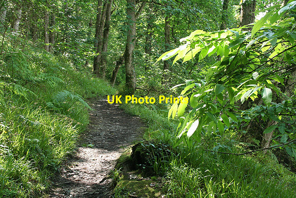 Photo 6"x4" Newton and Noss: lower path Noss Mayo c2008