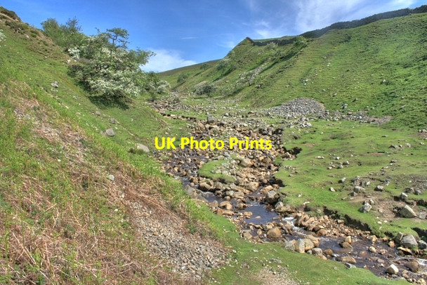 Photo 6"x4" Bleaberry Gill Kearton c2008