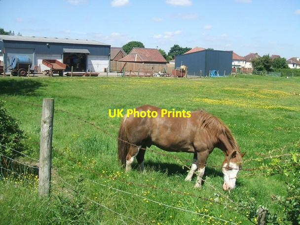 Photo 6"x4" Sutherland Farm Hobble End c2008